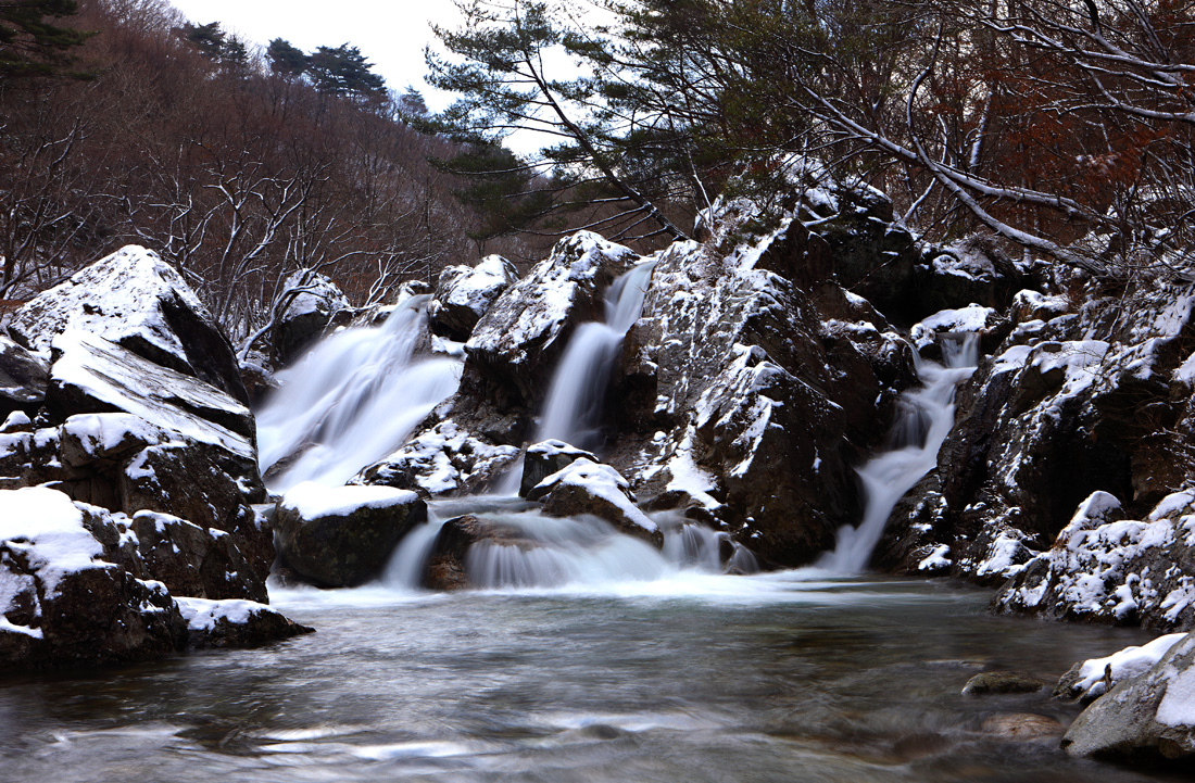 춘설의 월하탄.. 이미지(1)