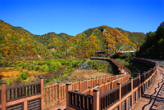 제4경반딧불이서식지.jpg