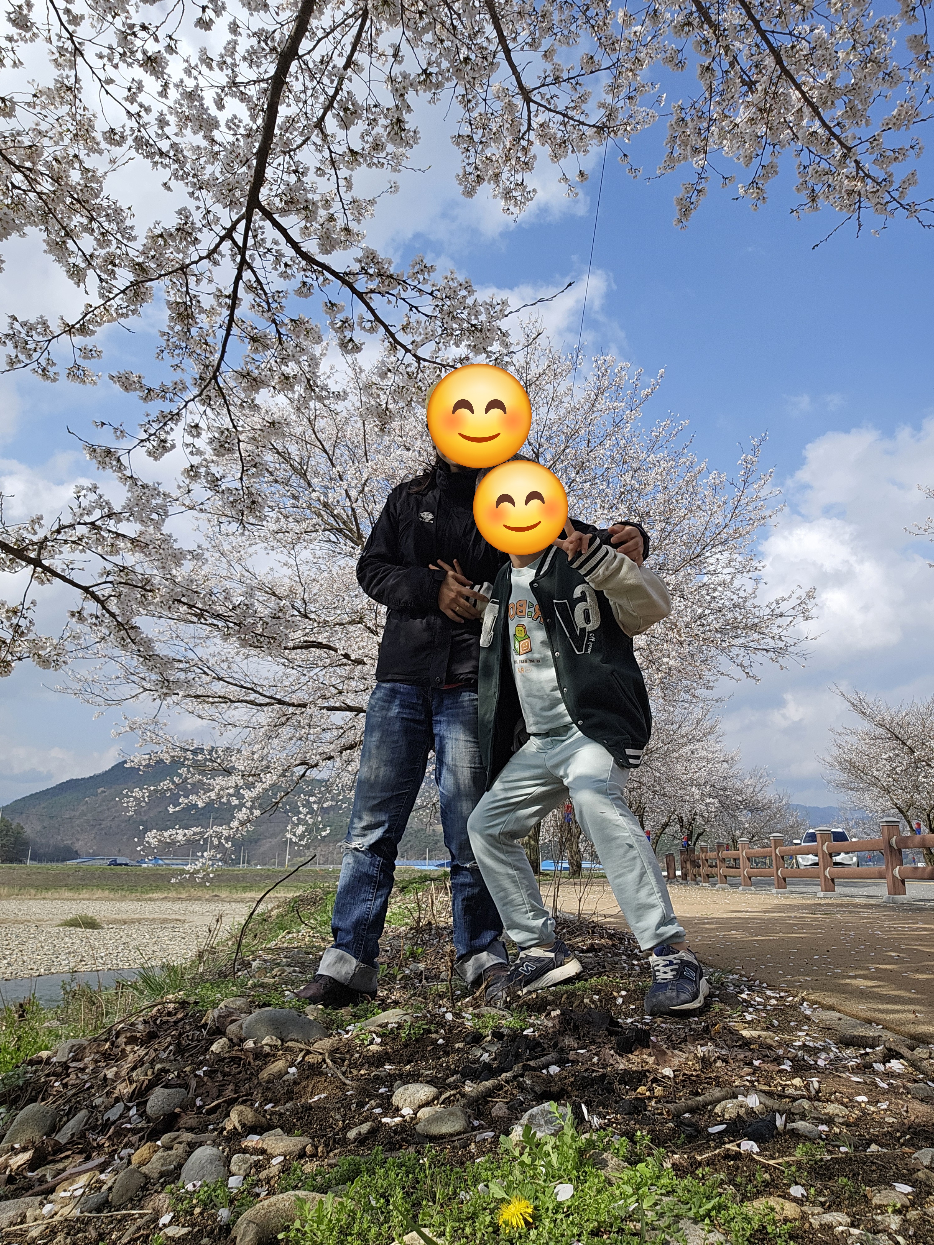 소이나루터 벚꽃길 이미지(1)